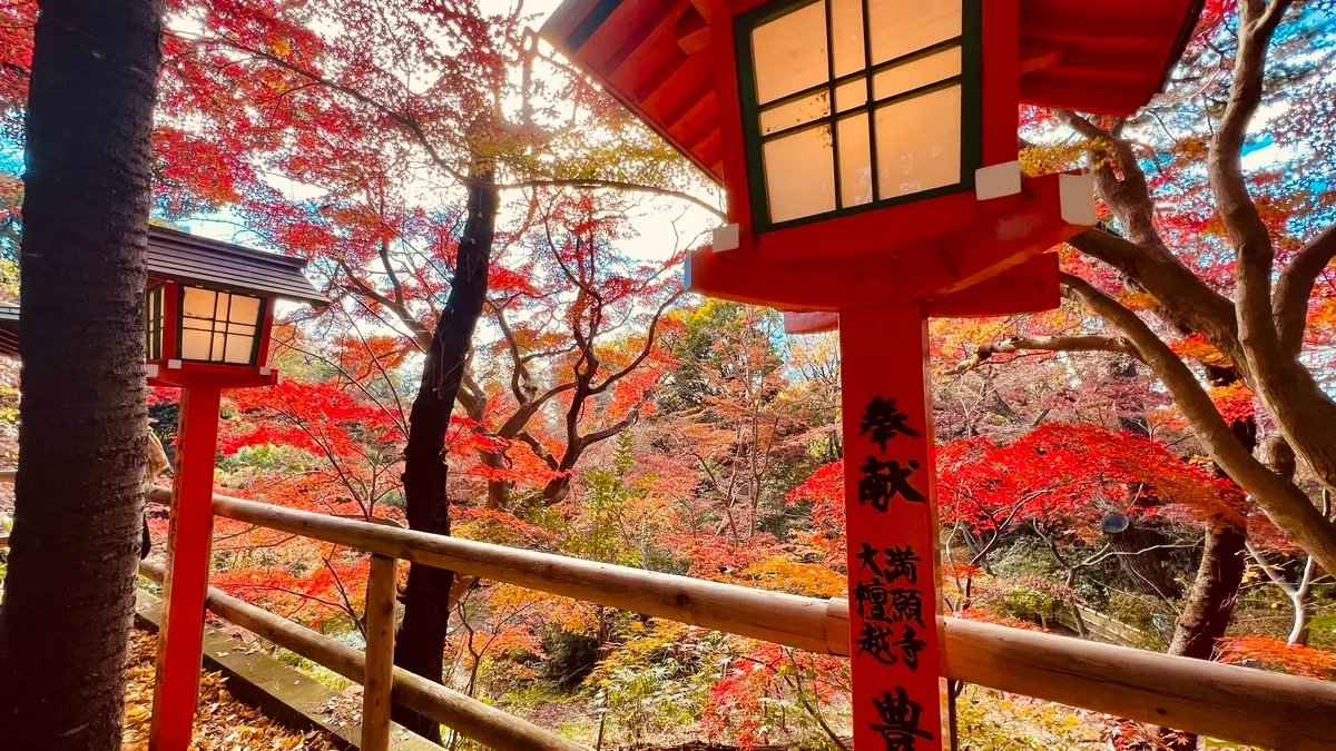 ⛩️ 만간지(도도로키 부동존) 이미지 7